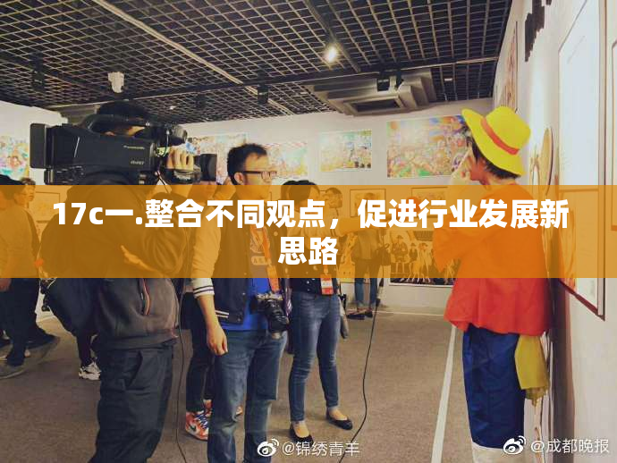 17c一.整合不同观点，促进行业发展新思路