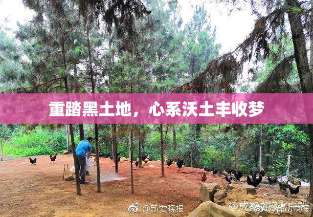 重踏黑土地，心系沃土丰收梦