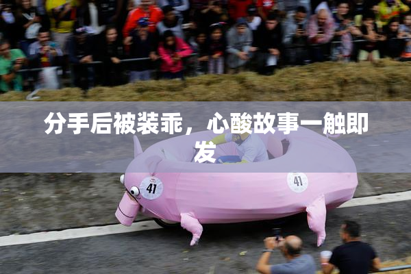 分手后被装乖，心酸故事一触即发