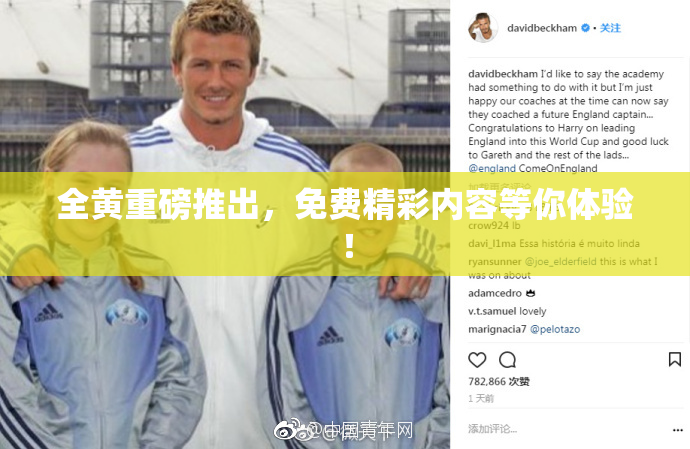 全黄重磅推出，免费精彩内容等你体验！
