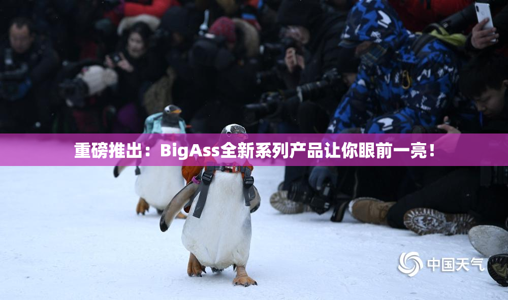 重磅推出：BigAss全新系列产品让你眼前一亮！