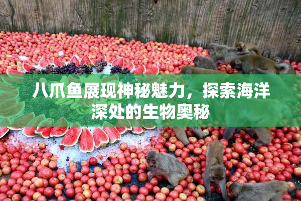 八爪鱼展现神秘魅力，探索海洋深处的生物奥秘
