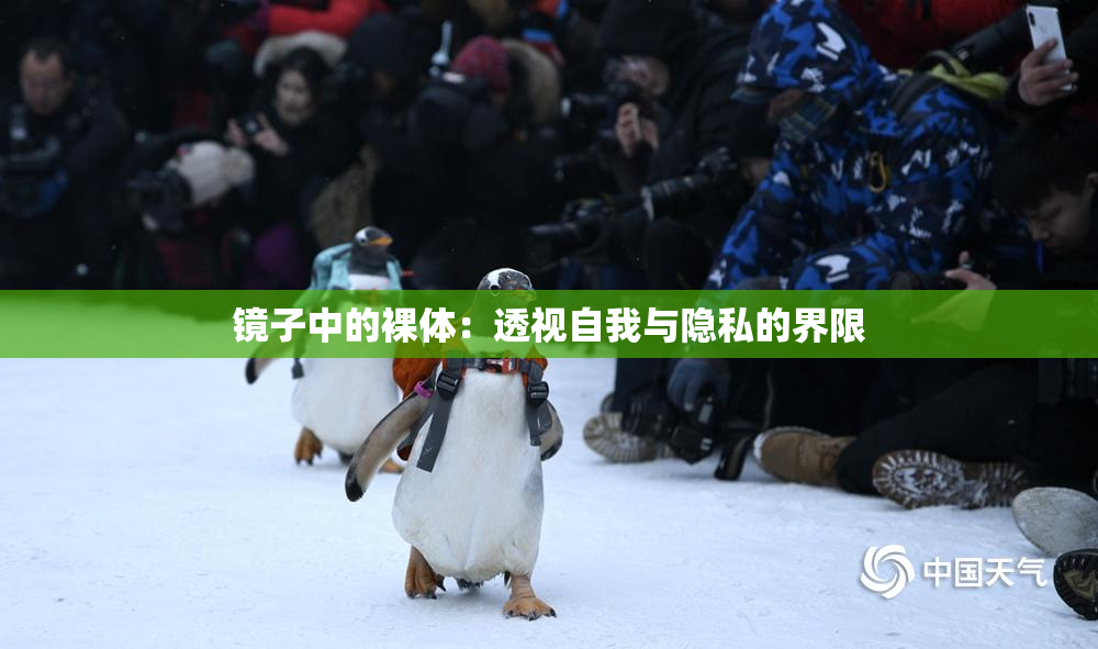 镜子中的裸体：透视自我与隐私的界限