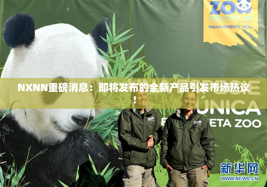 NXNN重磅消息：即将发布的全新产品引发市场热议！