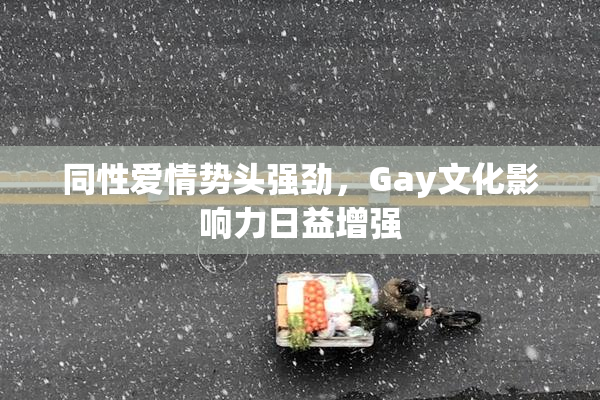 同性爱情势头强劲，Gay文化影响力日益增强