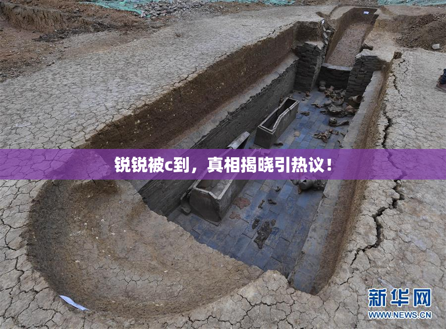 锐锐被c到，真相揭晓引热议！