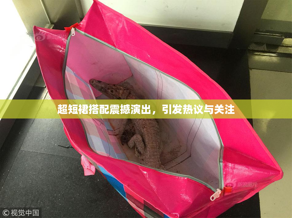 超短裙搭配震撼演出，引发热议与关注