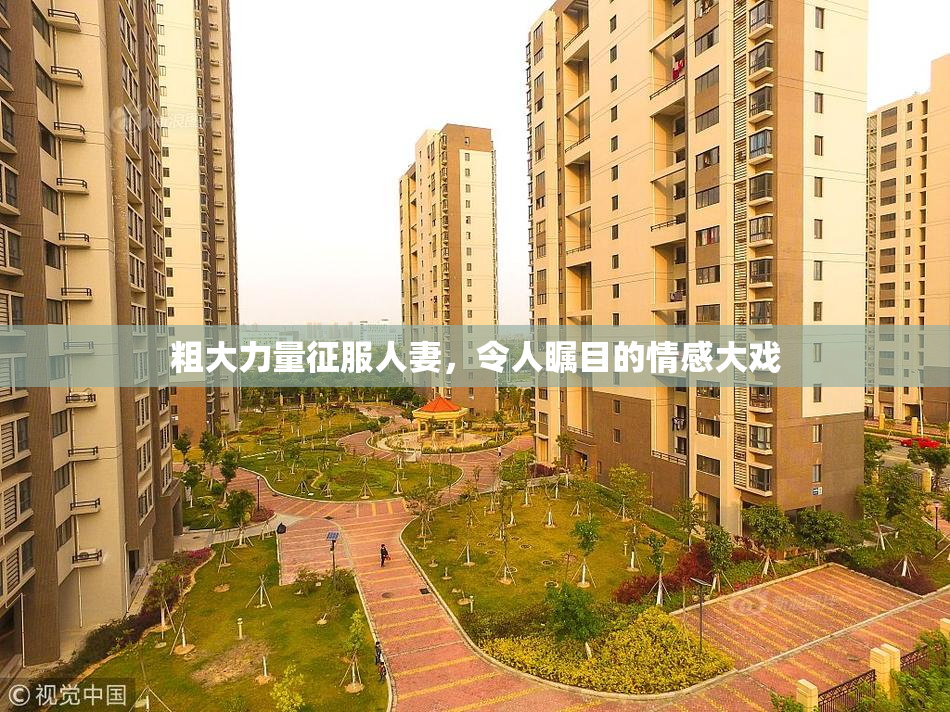 粗大力量征服人妻，令人瞩目的情感大戏