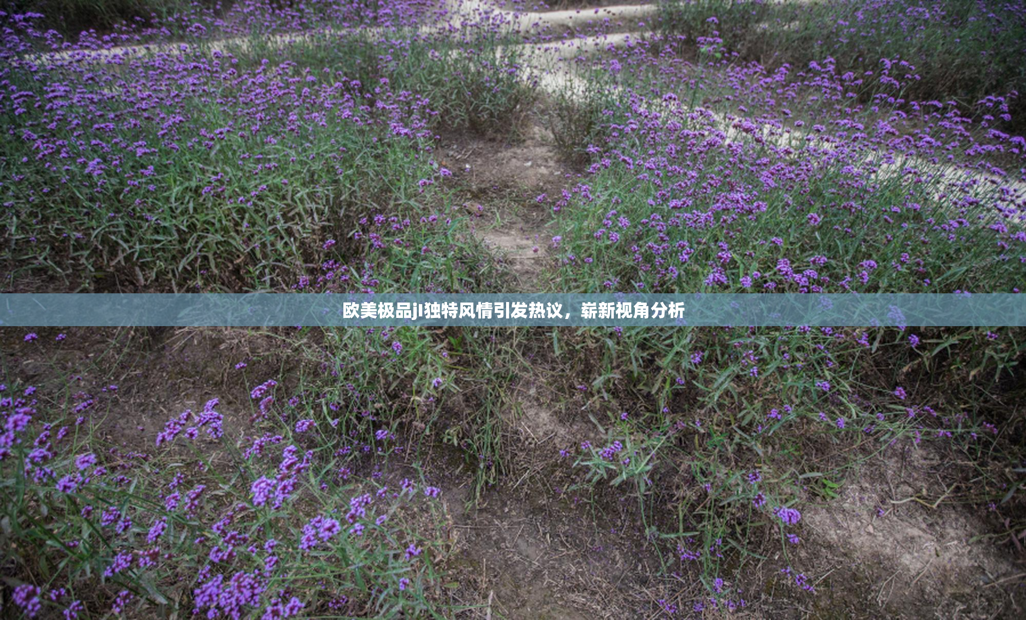 欧美极品jI独特风情引发热议，崭新视角分析