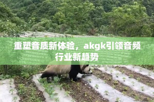 重塑音质新体验，akgk引领音频行业新趋势