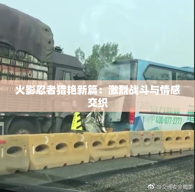 火影忍者猎艳新篇：激烈战斗与情感交织