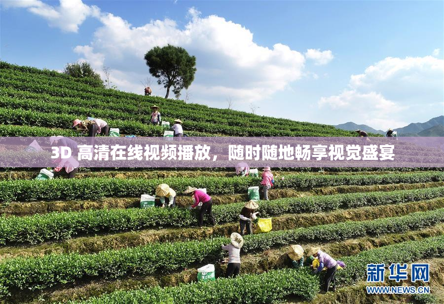 3D 高清在线视频播放，随时随地畅享视觉盛宴