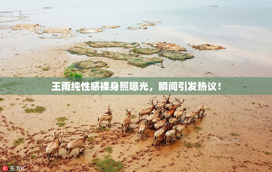 王雨纯性感裸身照曝光，瞬间引发热议！