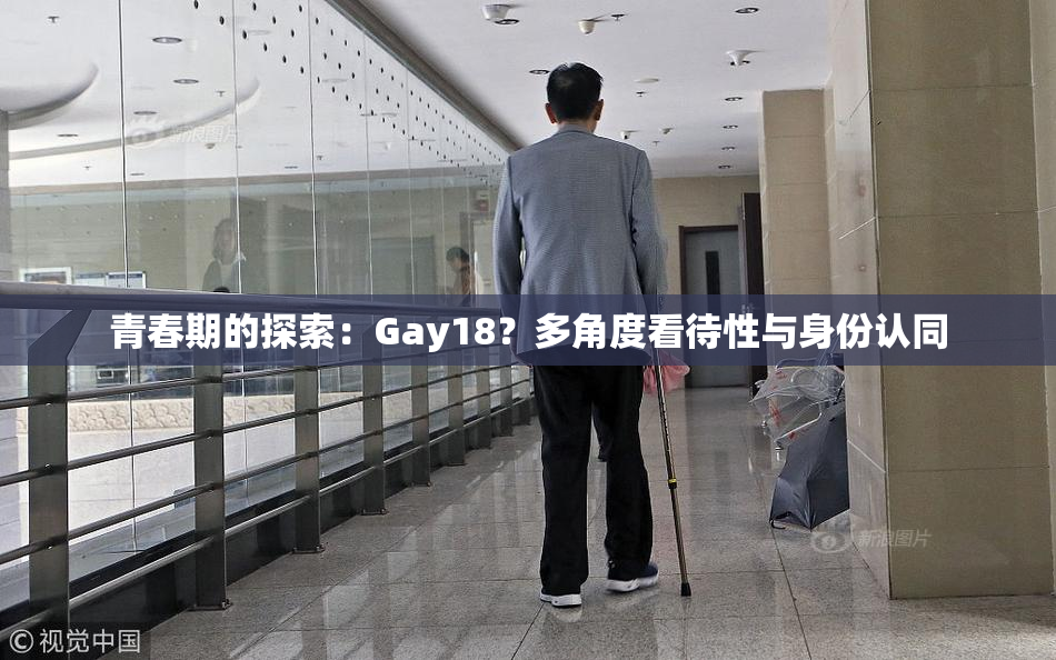 青春期的探索：Gay18？多角度看待性与身份认同