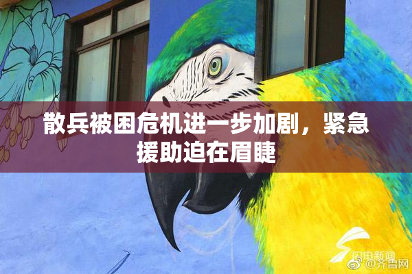 散兵被困危机进一步加剧，紧急援助迫在眉睫