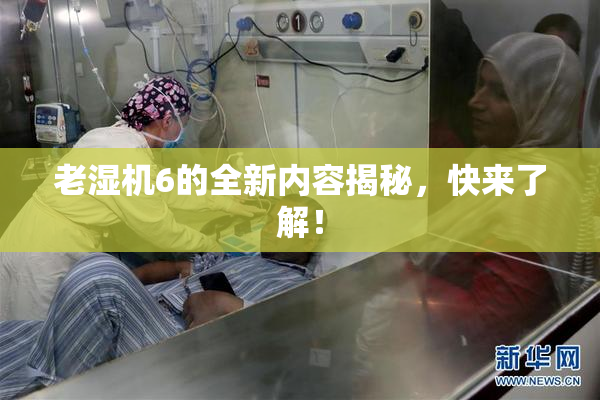 老湿机6的全新内容揭秘，快来了解！