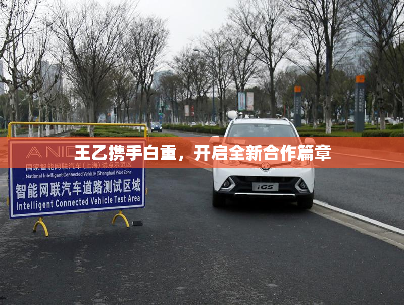 王乙携手白重，开启全新合作篇章
