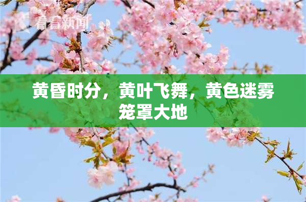 黄昏时分，黄叶飞舞，黄色迷雾笼罩大地