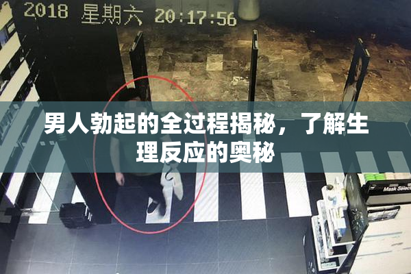 男人勃起的全过程揭秘，了解生理反应的奥秘