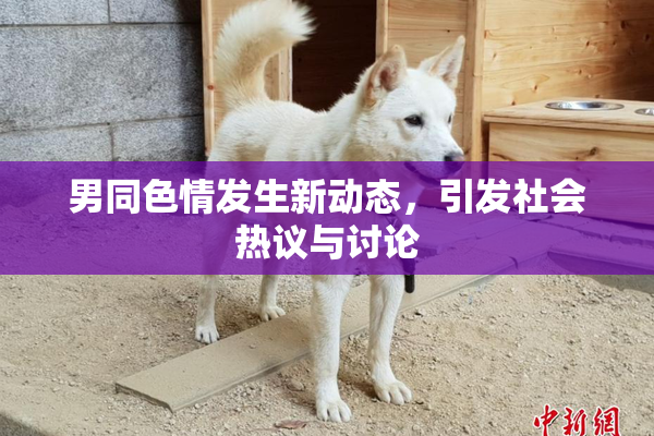 男同色情发生新动态，引发社会热议与讨论