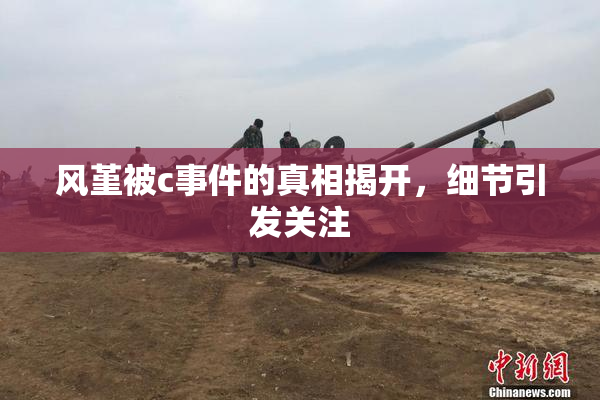 风堇被c事件的真相揭开，细节引发关注