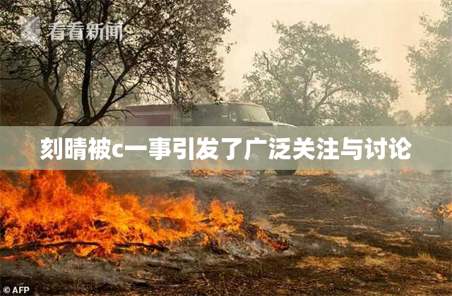 刻晴被c一事引发了广泛关注与讨论