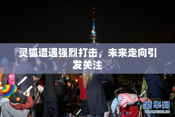 灵狐遭遇强烈打击，未来走向引发关注
