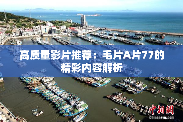 高质量影片推荐：毛片A片77的精彩内容解析