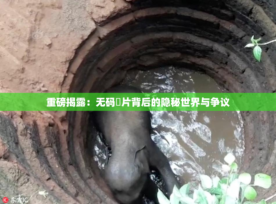 重磅揭露：无码婬片背后的隐秘世界与争议