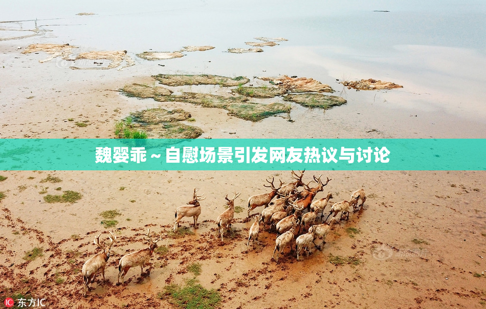魏婴乖～自慰场景引发网友热议与讨论