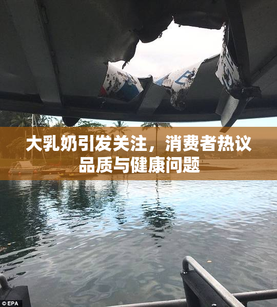 大乳奶引发关注，消费者热议品质与健康问题