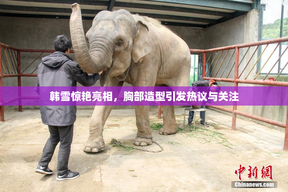 韩雪惊艳亮相，胸部造型引发热议与关注
