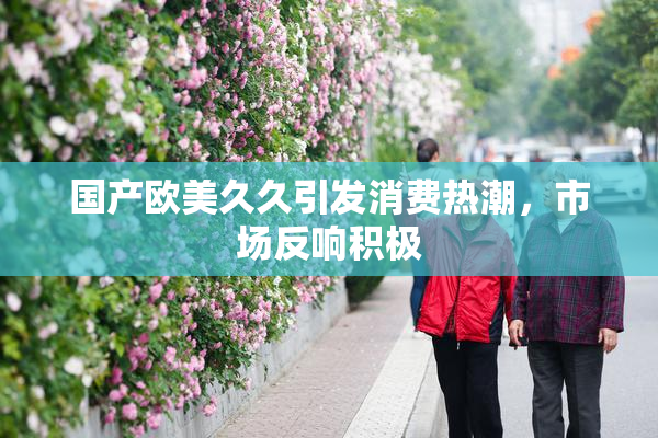 国产欧美久久引发消费热潮，市场反响积极