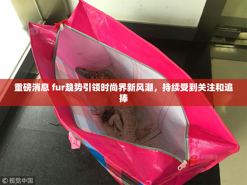 重磅消息 fur趋势引领时尚界新风潮，持续受到关注和追捧