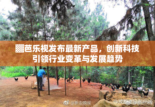 ▓芭乐视发布最新产品，创新科技引领行业变革与发展趋势