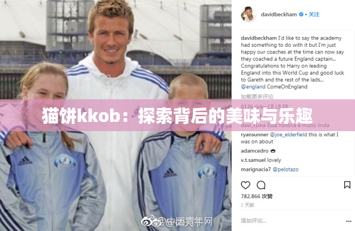 猫饼kkob：探索背后的美味与乐趣