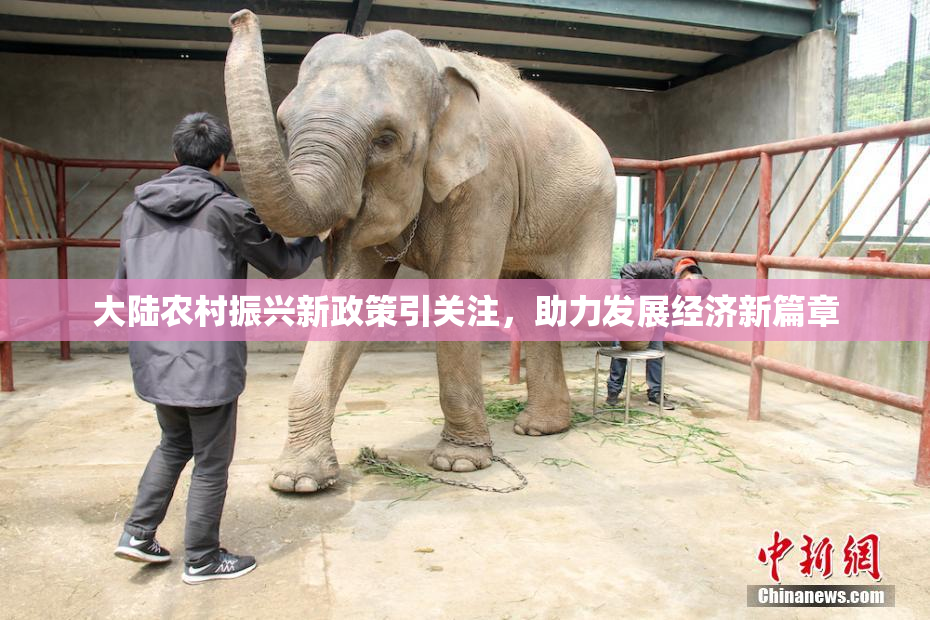 大陆农村振兴新政策引关注，助力发展经济新篇章
