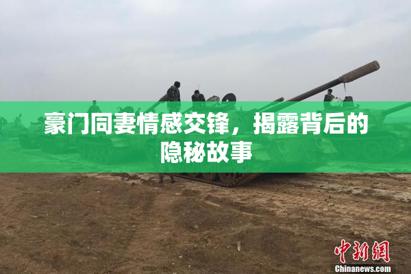 豪门同妻情感交锋，揭露背后的隐秘故事