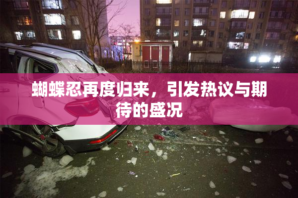 蝴蝶忍再度归来，引发热议与期待的盛况