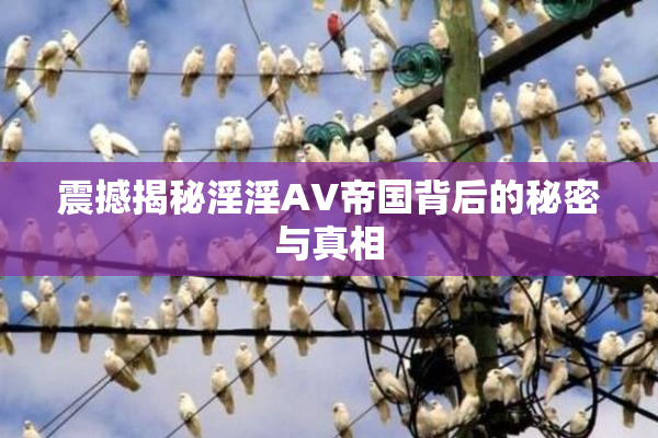 震撼揭秘淫淫AV帝国背后的秘密与真相