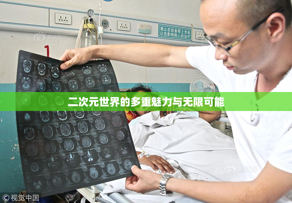二次元世界的多重魅力与无限可能