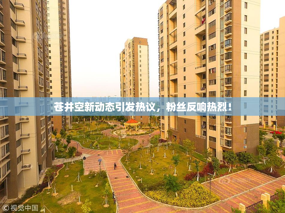 苍井空新动态引发热议，粉丝反响热烈！
