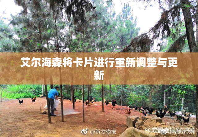 艾尔海森将卡片进行重新调整与更新