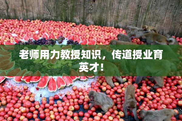 老师用力教授知识，传道授业育英才！