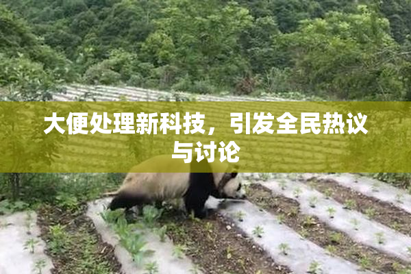 大便处理新科技，引发全民热议与讨论