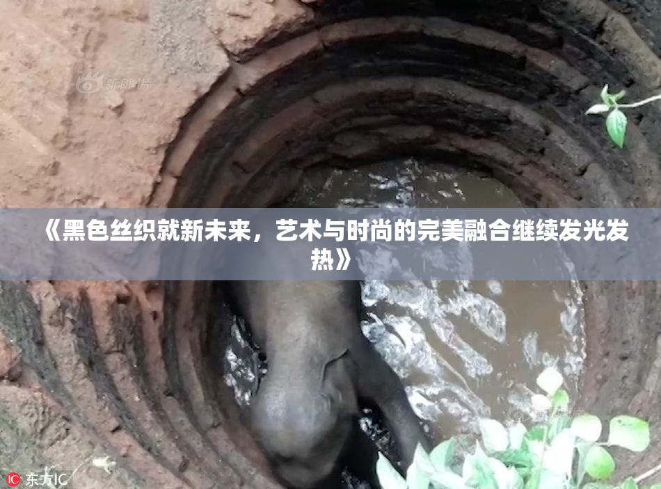 《黑色丝织就新未来，艺术与时尚的完美融合继续发光发热》