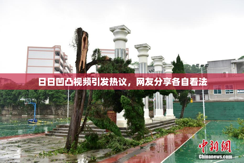 日日凹凸视频引发热议，网友分享各自看法