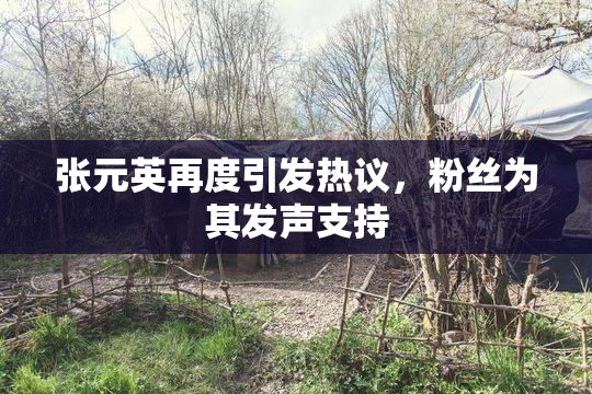 张元英再度引发热议，粉丝为其发声支持