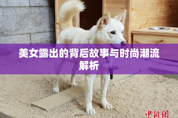 美女露出的背后故事与时尚潮流解析