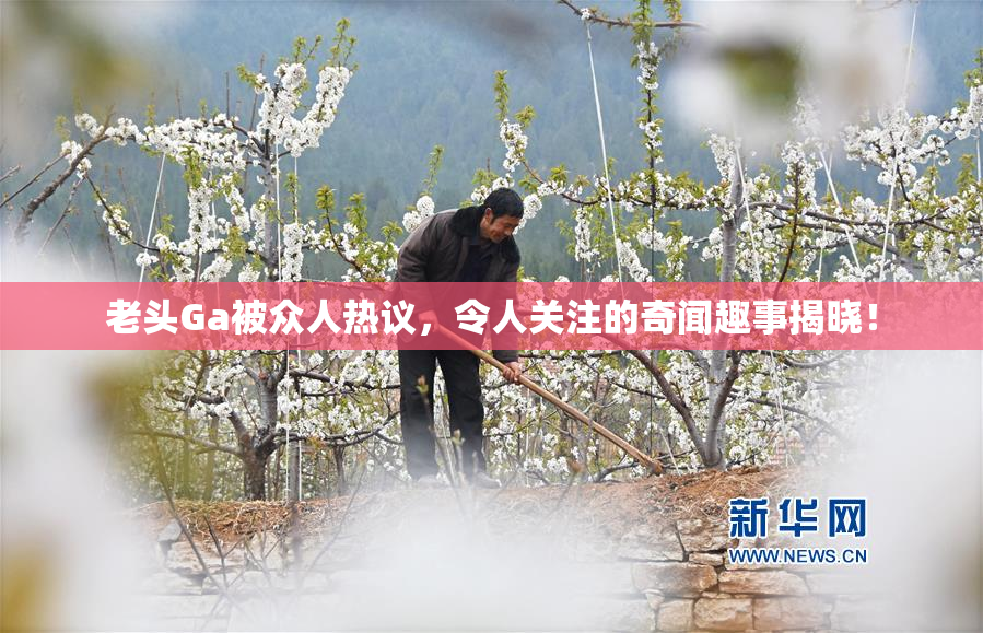 老头Ga被众人热议，令人关注的奇闻趣事揭晓！